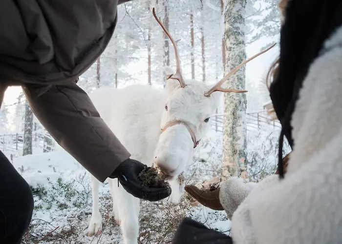 North Horizon 16d By Hilla 레비